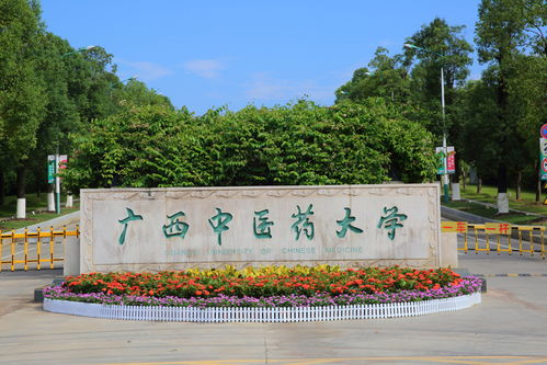 豎石有鏤 鐫心銘骨 廣西中醫藥大學校園文化石刻概覽