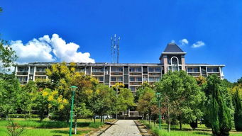 全世界都在關注黑洞,而我卻在看南昌大學的調色盤