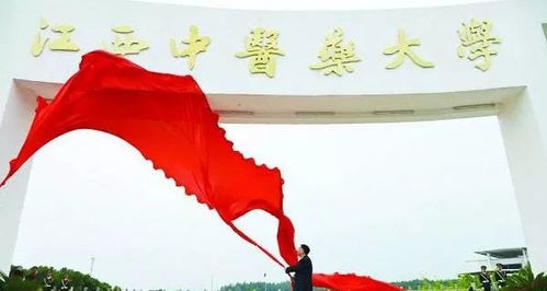 國內六所開設藝術專業的 怪大學 ,有興趣的考生可以了解一下