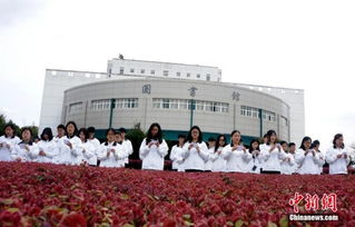 江西 千余大學學子誦讀祭清明 圖