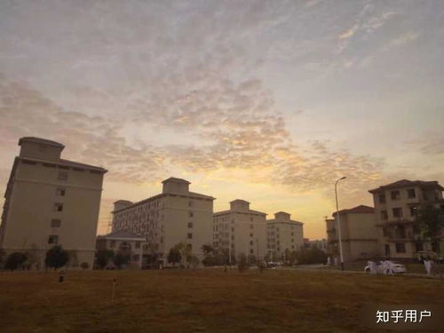 江西中醫藥大學科技學院的宿舍條件如何 校區內有哪些生活設施