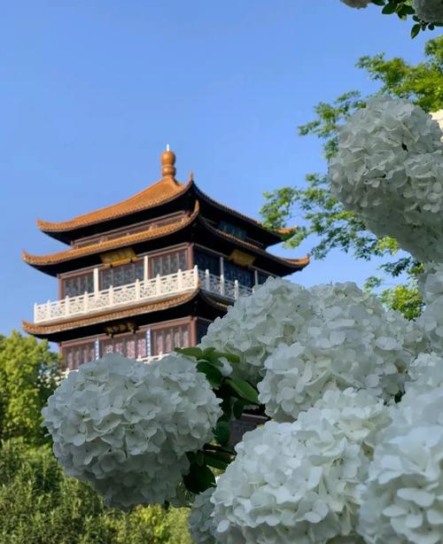 江西科技學(xué)院:南昌的專升本選擇