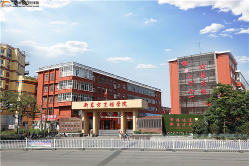 升學(xué)季,選擇很重要