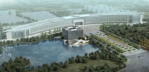 在鄭州的高校里,和春天談場戀愛