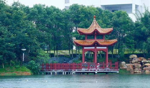 江西中醫藥大學,很高興遇見你