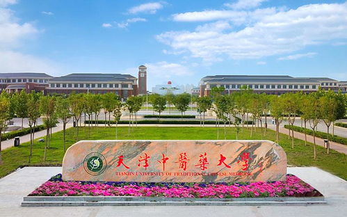 中醫藥大學 排名 大調整 ,北中醫最強211,天中位列第三