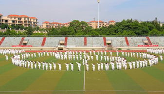 臨床醫學院開啟 千人太極 盛宴