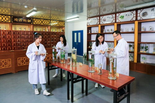 江蘇食品藥品職業技術學院 積厚成勢 讓思想政治工作 活 起來