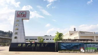 關于勐大鎮林下中藥材產業發展調研