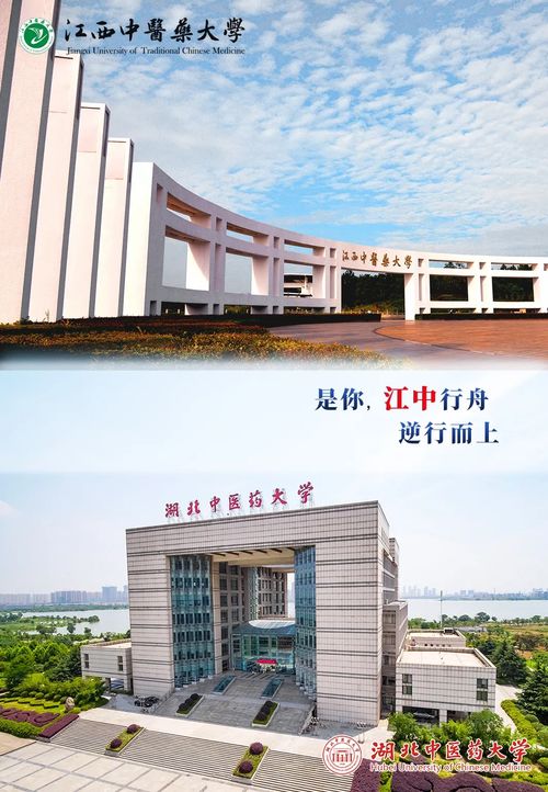 國家有難,中醫人有責 全國中醫藥大學心手相連抗疫情