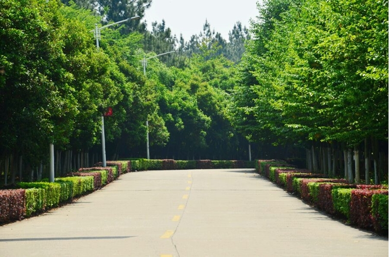 江西中醫藥大學校園風景