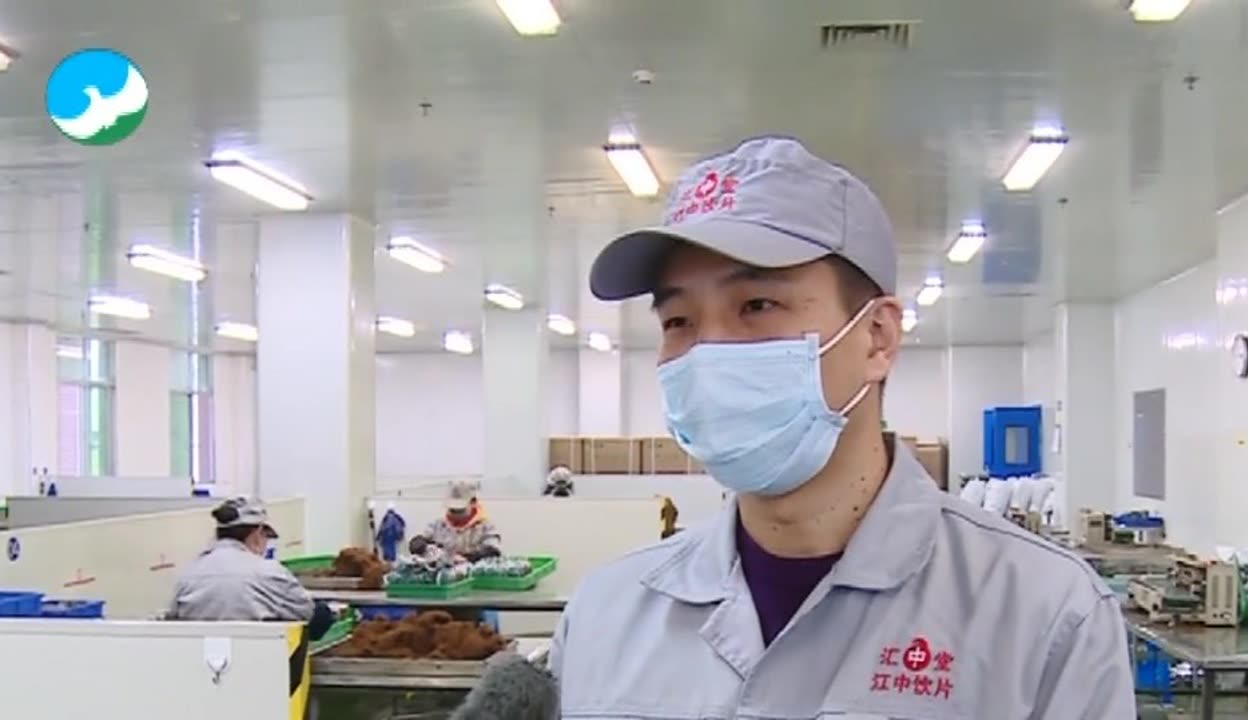 江西江中中藥飲片提前復工，加班加點保障生產供應